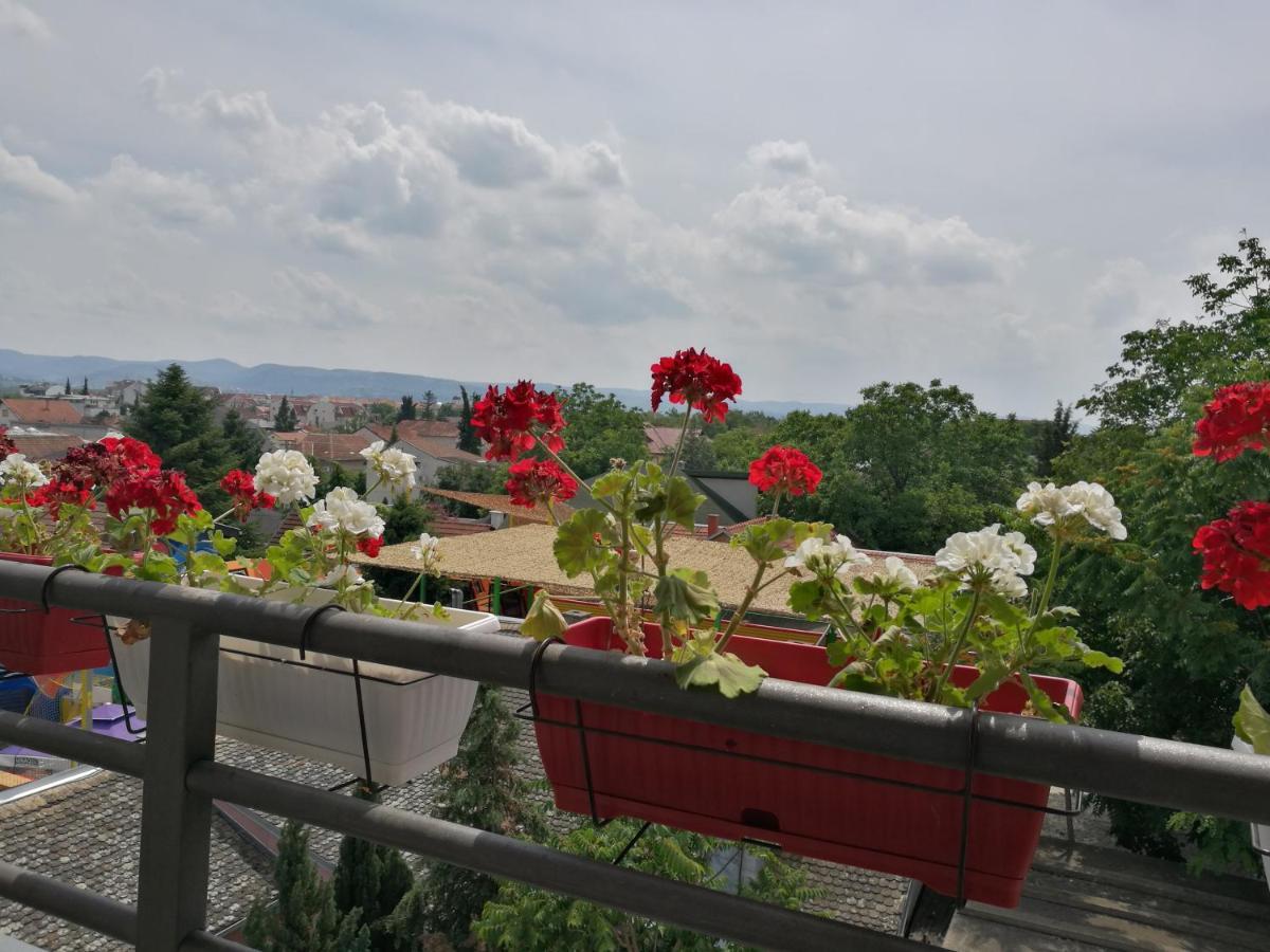 Helena Apartment Novi Sad Exteriér fotografie